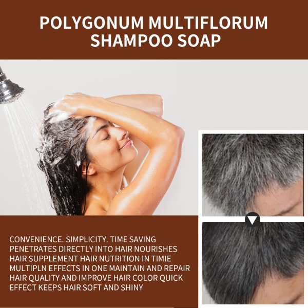 JAYSUING Polygonum Multiflorum Hair Care Smooth & Silky 100g packaging and label