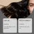 Hair Styling Treatment | GleamXi 30ml