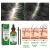 Scalp Treatment | JAYSUING 60ml
