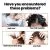 Scalp Treatment | OUHOE 50ml