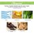 South Moon Ginger Shampoo Deep Cleansing 10pieces - product photo 5