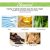 South Moon Ginger Shampoo Volumizing 100ml - product photo 5