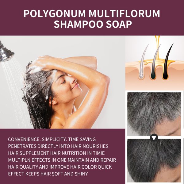 South Moon Polygonum Multiflorum Hair Care Strengthening 80g packaging and label