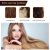 Olive Oil Scalp Treatment | West&Month 100ml