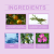 West&Month Serum Soothing 55ml - product photo 5